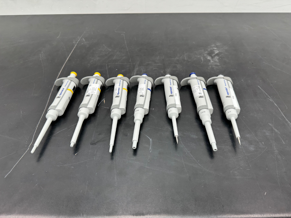 Image of Eppendorf Single Chanel Pipettes - Quantity 6